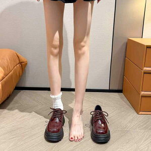 [t@[ fB[X  RC EhgD JWA TCY 傫TCY ɂȂ ₷  F Cbh tďH~