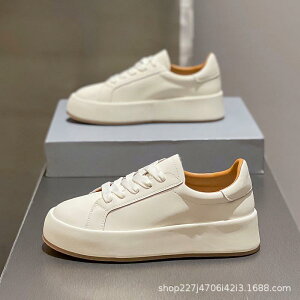 Xj[J[ fB[X  {v [XAbv [Jbg tbg\[ ^C X|[cV[Y ʋC  zCg JWAV[Y ig fC[[X v NbV 