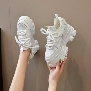 Xj[J[ fB[X {v V[NbgCq[ _bhXj[J[ JWAV[Y vbgtH[ Xj[J[  x[W ₷ 8cmq[ r ʋC ϖՐ [