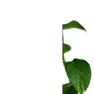 J[e  p hJr h V[J[e Zbg oXJ[e Ԏd؂ ̂   ډB c  }`bN  C E XgCv 􉽊w͗l k