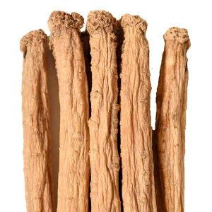 }Q  Ïl Y Whole root   V 