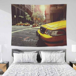 �^�y�X�g���[ �k���� �C���X�^�f�� �w�i�z ���r���O �Q�� �x�b�h���[�� �C���e���A ���� �͗l�ւ� �|���G�X�e�� ����@�􂢉\ ���i��