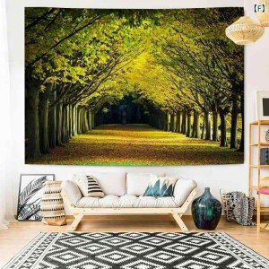 ^yXg[ rOpǕz fW^vg ̗̔lȕ̐n CX^fwiz ʐ^Bep |GXe ` 