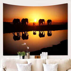 ^yXg[ 唻 |GXe   Aj} Ǌ|  ͗lւ CeA fBXvC EH[fR[V 150 100cm 150 230cm