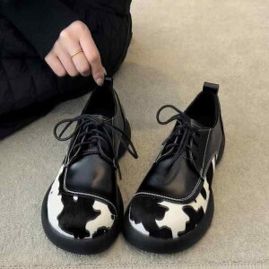 [t@[ fB[X  v U[ TCY 21.5cm 22cm Xb| JWA 킢 ₷ ɂȂ wlC  ubN tďH~