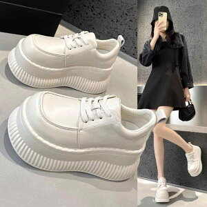 [t@[ fB[X C vbgtH[V[Y EhgD v h NbV ubN zCg