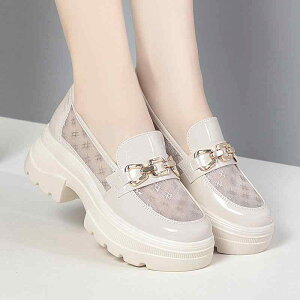 [t@[ fB[X ۓ  K Ȃ p`O ~hq[ ʋC JWA ₷ [t@[pvX {v t H~