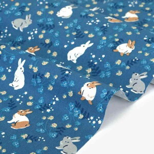 n z kETM Sʃvg RbgLoX IbNXtH[h Lb`pi obO z CeA G tďH~