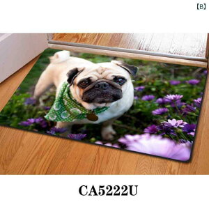 }bg փ}bg O}bg J[ybg Lb`}bg 􉽊w͗l Aj} ` 40cm 60cm   \