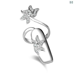 w fB[X ܃O  S[h Vo[ J[ LL WRjA GKg t[TCY