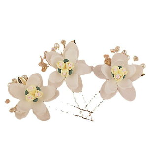 wAANZT[ fB[X  ؍ p[  wAs wAR[ Us  p[eB[