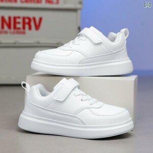 Xj[J[ LbY qC w ct ۈ牀 ʊw ^C    lHv  ʋC y h ϖՐ tďH~ jO