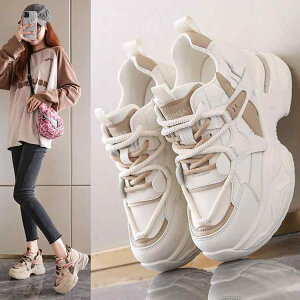 Xj[J[ fB[X  X|[cV[Y ؍ jOV[Y g ʊw ig F x[WF F