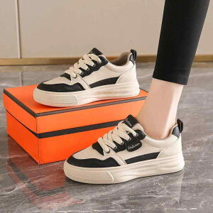 Xj[J[ fB[X Xj[J[ ؍ PUU[ JWA ^C jOV[Y Ȃ _炩 nCq[(8cmȏ) t