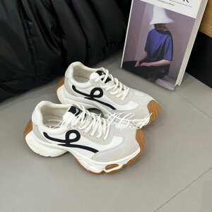 Xj[J[ fB[X  Cq[ _bhXj[J[ jOV[Y oCJ[ 5cm 3cm`5cm ig JWAX^C x[W CG[ sNn ~ Ր