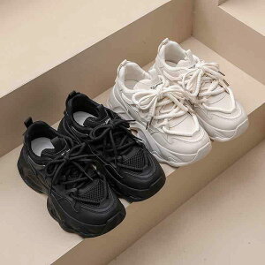 Xj[J[ fB[X  Cq[ _bhXj[J[ jOV[Y wlC JWAV[Y v  x[W