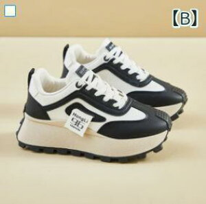 Xj[J[ fB[X  Cq[ ^C jOV[Y p JWA ~hq[ 3cm 4cm t x[W ubN