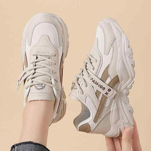 Xj[J[ fB[X  ^C jOV[Y JWAV[Y [Jbg EhgD wlC ؍ tďH~ ubN x[Wn