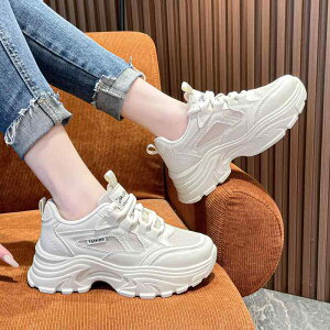 Xj[J[ fB[X  Xj[J[ jO X|[c JWA V[Y  w ^C ʋC ϖՐ v   x[W t