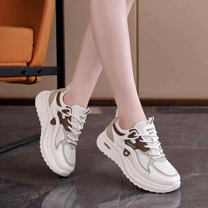 Xj[J[ fB[X w ^C  jO V[Y X|[eB JWA ʊw ig bV ĕF 