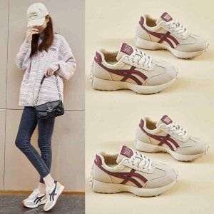 Xj[J[ fB[X ^C jOV[Y JWAV[Y h ۉ  [Jbg H~ p wlC X|[eB[ 킢 IV