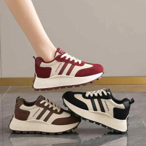 Xj[J[ fB[X  ^C jOV[Y JWAV[Y ؍ ubN bh uE ϖՐ