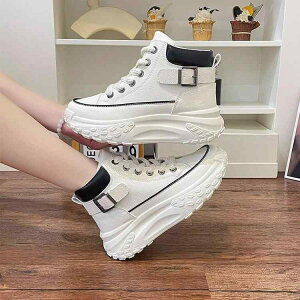 Xj[J[ fB[X  ^C jOV[Y JWA [Jbg ʋC ϖՐ    tďH~