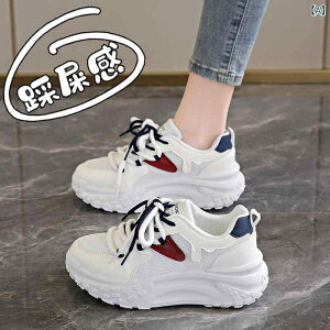 Xj[J[ fB[X  Ȃ ؍ t@bV ^C jO EH[LO V[Y wlC ʋC   J[L