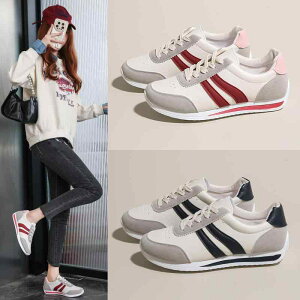 Xj[J[ fB[X ^C jOV[Y  y ʋC ؍ JWA ₷   t H~