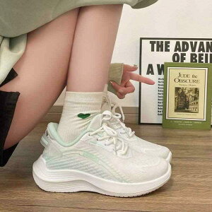 Xj[J[ fB[X y e X|[cV[Y ʋC jOV[Y WMO ^C 킢    sNn   t