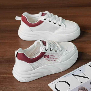 Xj[J[ fB[X  Cq[ X|[eB[ JWA [Jbg wlC v    tďH~