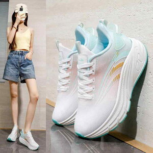 Xj[J[ fB[X ^C y _炩 C ʋC Ռz w jO sNn O[ t