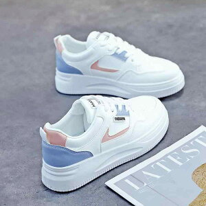 Xj[J[ fB[X ^C [Jbg tbg ؂񂱌C   y ʋC ~ JWA 킢 u[ O[