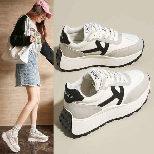 Xj[J[ fB[X  jOV[Y Ȃ ^C EH[LOV[Y wlC 킢 y t JWA sNn O[ 3cm 3.5cm 4cm