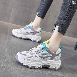 Xj[J[ fB[X  {v X|[c JWA ؍ jO V[Y ʋC y ^C wlC 킢 ₷  [Jbg t