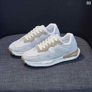 Xj[J[ fB[X  jOV[Y ^C JWAV[Y RC ؍ EhgD PUU[ ʋC h ϖ ubN x[W IW