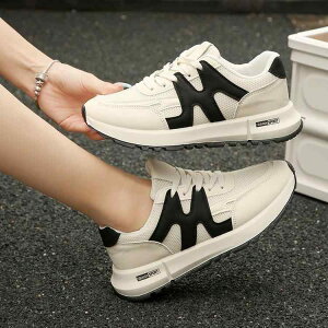 Xj[J[ fB[X  jOV[Y X|[eB JWA y ʋC ؍ 