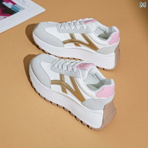 Xj[J[ fB[X  jOV[Y X|[c JWA V[Y  wlC ʋC ϖ    