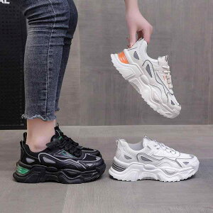 Xj[J[ fB[X jOV[Y X|[cV[Y  ʋC ^C JWA ؍   x[W t