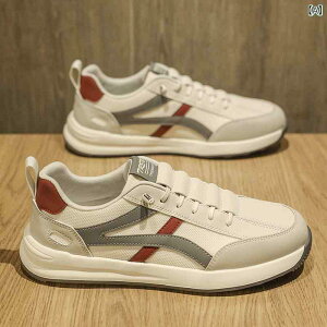 Xj[J[ Y jp jOV[Y ʋC X|[cV[Y ^C ig y Ռz ~  bV  zCgn t