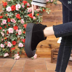 u[c fB[X  h V[gu[c Xm[u[c N g ₷ Ȃ EhgD  n  F H~