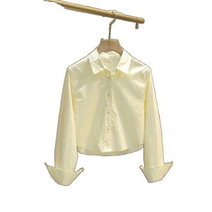 Vc fB[X ؍ ItBXJWA gbvX  VtH |GXe ʋ | n  킢  zCg F CG[ u[ 傫TCY tH