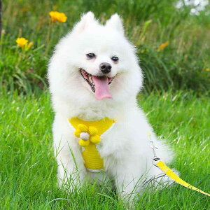 pn[lX [h ^p ɂ  z xXg^Cv Up o 䊉ʉ ԕ V kF H STCY MTCY