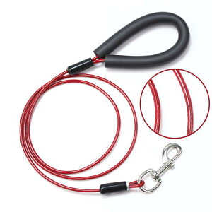 p[h ^ ^  iC X`[C[ [v Up[h ybgpi   Vo[(x2)