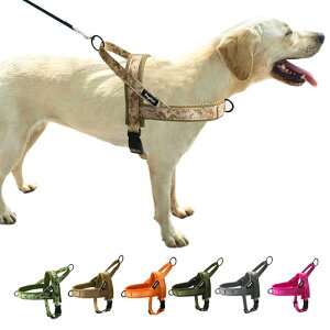  n[lX ^ bV ʋC K  xXg p [h ^ ^ [v iC  sN  IW  J[L