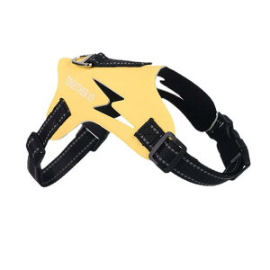 p n[lX ^ ^ [h Zbg Up  bV xXg ʋC Ռz Eɂ p[v CG[ O[ bh ubN zCg