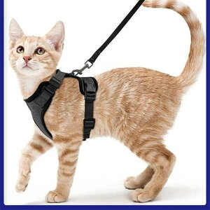 L n[lX [h ^ p ɂ U  ʋC bV |GXe 