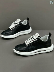 Xj[J[ jp JWAV[Y [t@[ RC X|[c ig 듪 tbg Lk ʋC  ubNn F uEn