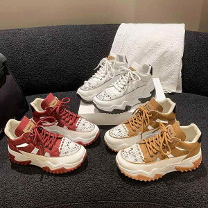 Xj[J[ fB[X  JWA V[Y [Jbg RC ʋC F   