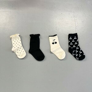 C LbY jp q t  hbg 킢  TN{ ԕ [X  ʋC